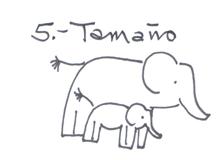 Síndrome que representa el tamaño, son dos elefantes 