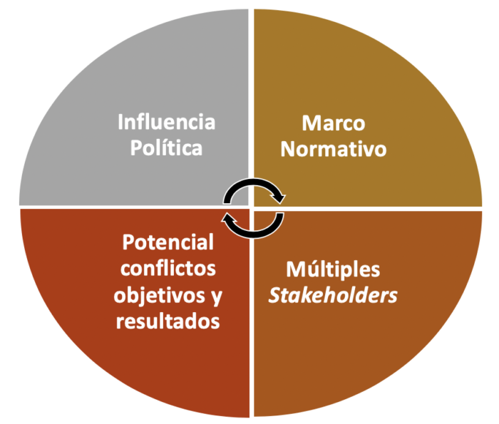 Dimensiones de los proyectos en el sector público