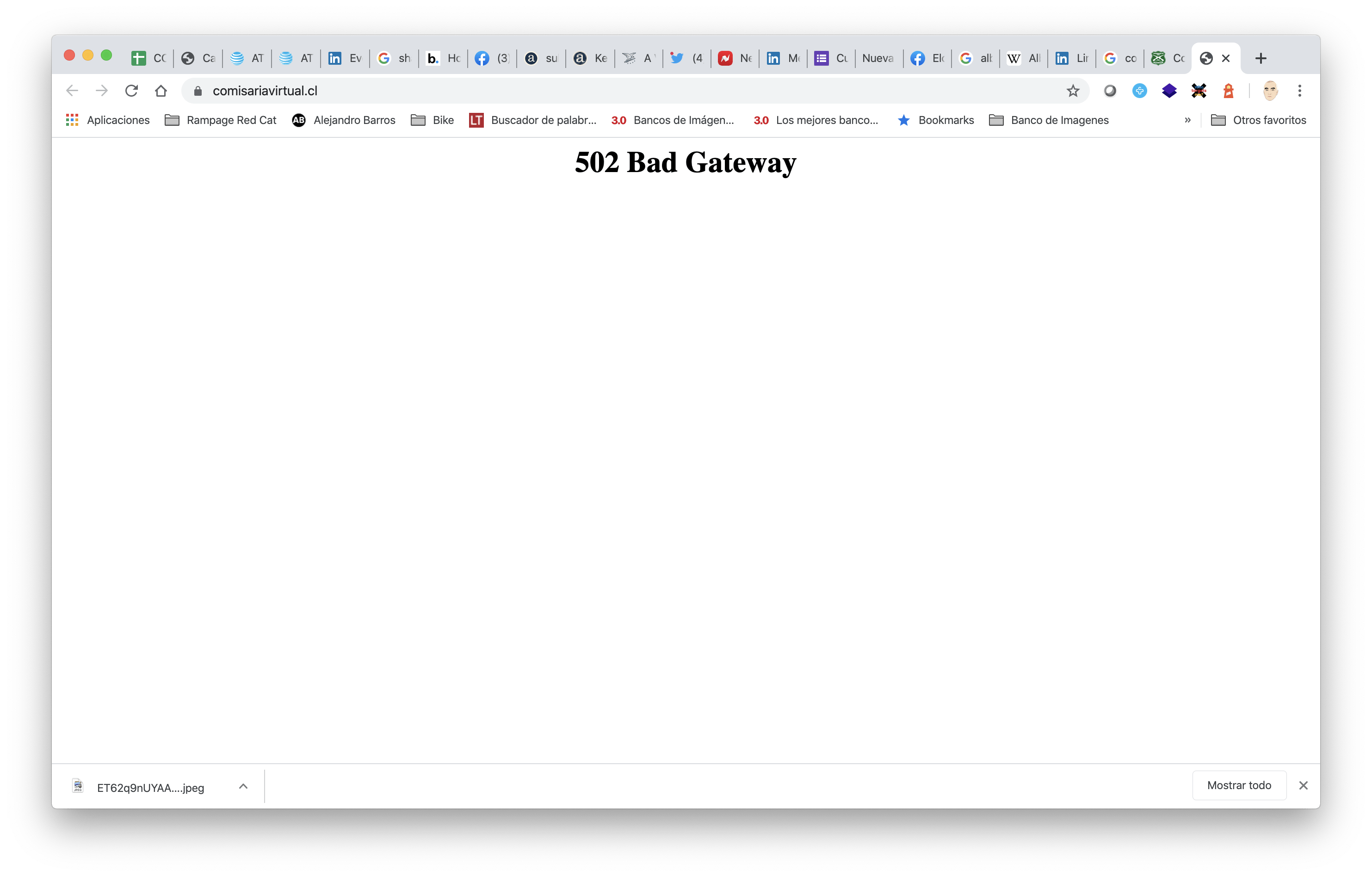 Home page del sitio comisariavirtual.cl caido el 25-3-2020 a las 18:28