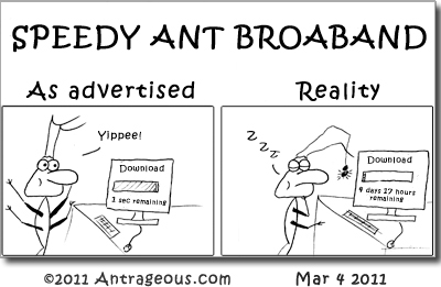 1318043663865-ant2011-03-04.jpg