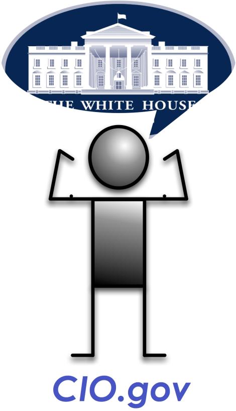 cio.gov.jpg